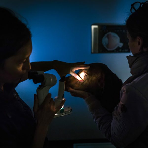 Teaserbild Anicura 600x600