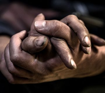 BERG Mariopol Family News 008 360x320