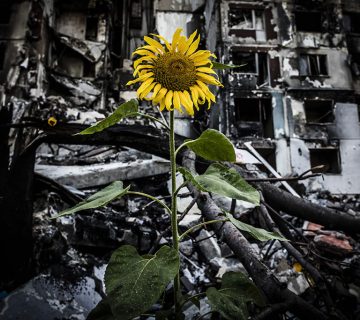 UKR daylife 09 360x320