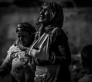 BERG Earthquake 07 360x320