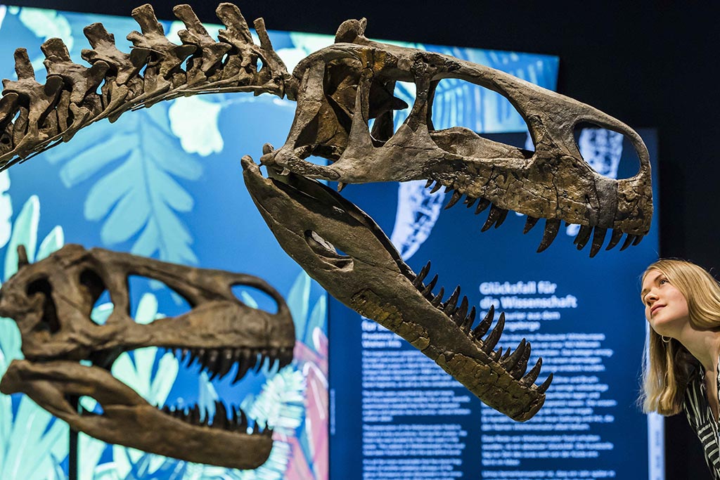 LWL Ausstellung "überLeben"